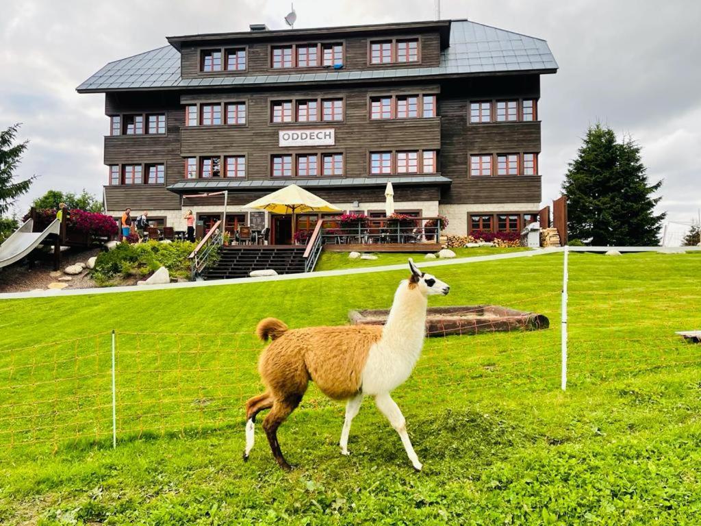 Hotel Oddech Pec pod Snezkou Esterno foto
