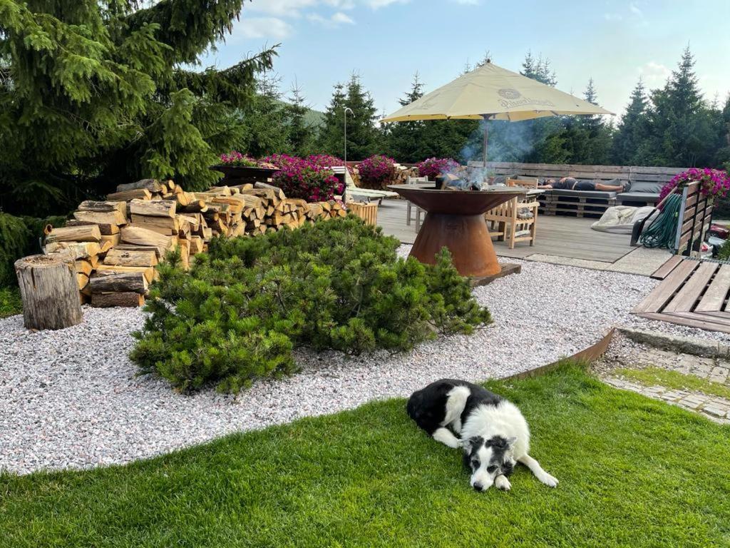 Hotel Oddech Pec pod Snezkou Esterno foto
