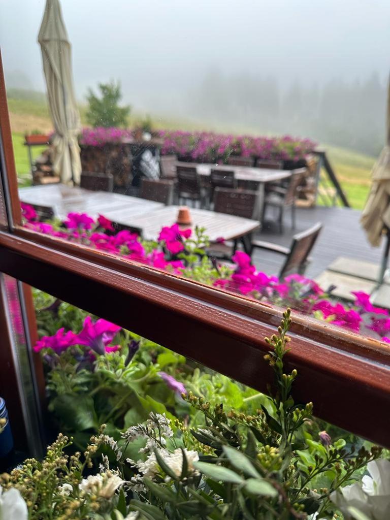 Hotel Oddech Pec pod Snezkou Esterno foto