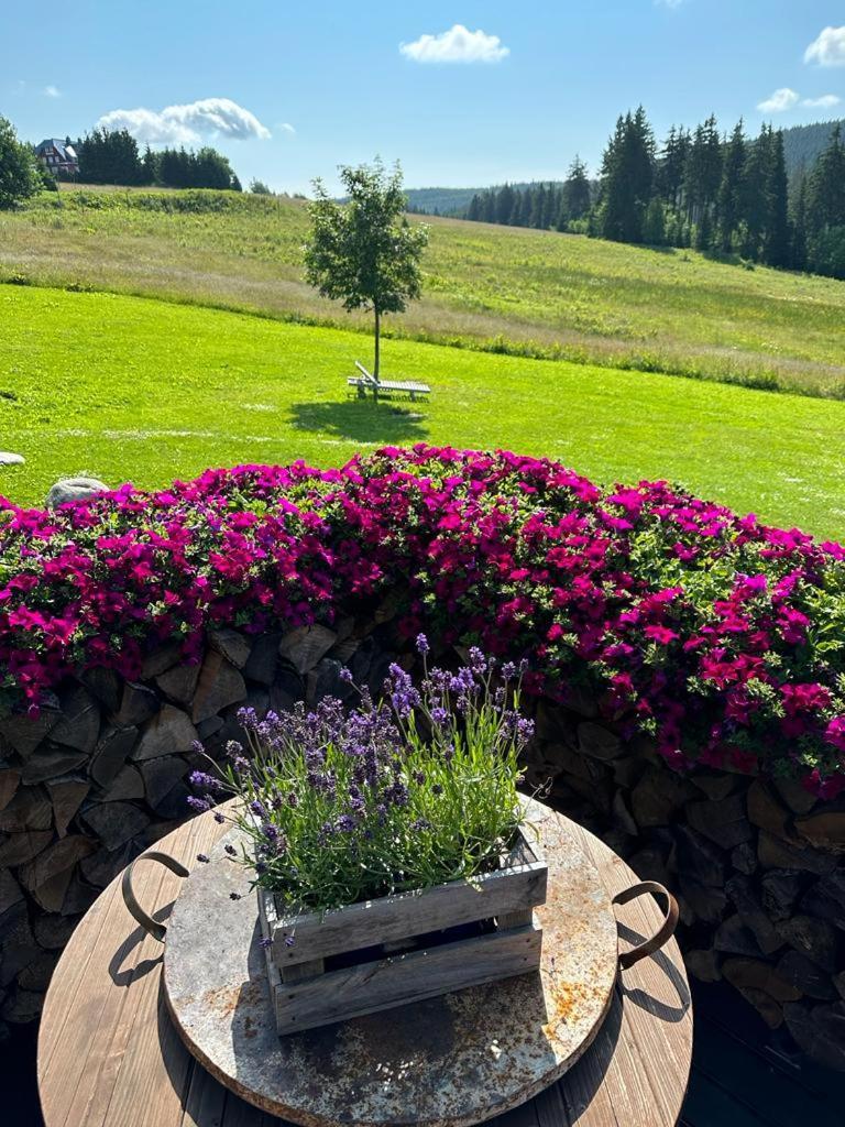 Hotel Oddech Pec pod Snezkou Esterno foto