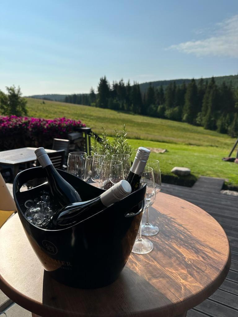 Hotel Oddech Pec pod Snezkou Esterno foto