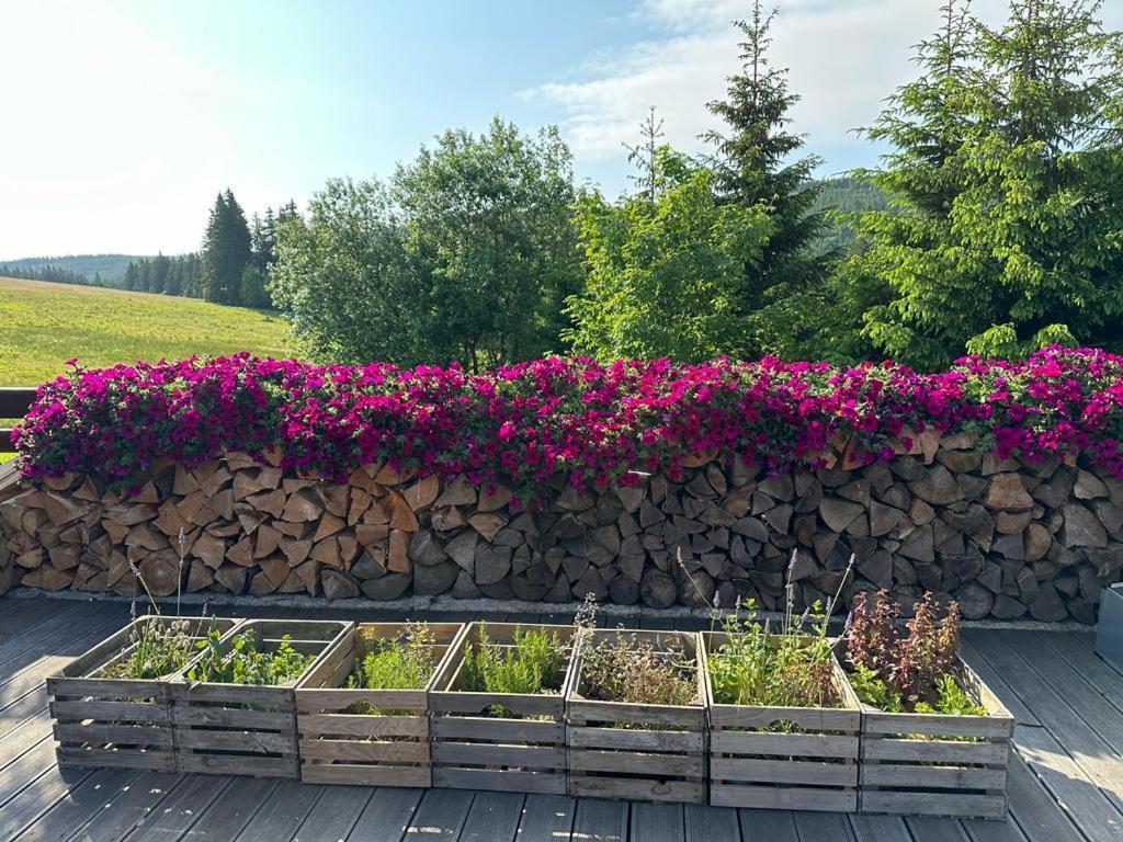 Hotel Oddech Pec pod Snezkou Esterno foto